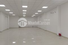 Tân bình mặt tiền 8x20m khai thác ngay