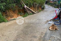 Chủ kẹt tiền bán gấp căn nhà đường y dinh p5 tp đà lạt. 1tỷ950. lh 0966923919