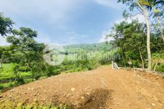 Bán gấp lô đất có dt 1,6ha có thổ cư giá chỉ 1,x tỷ x tiểu học