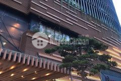 Chi 3 ty sơ hưu căn hô đa lat center trung tâm đa lat