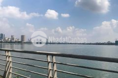 Bán đất phố lạc long quân oto kinh doanh 115m2 mặt tiền 8.6m lô góc giá 7.5 tỷ