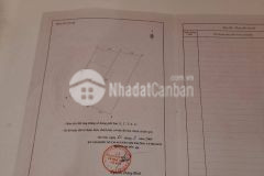 Mảnh đất vàng cầu giấy ô tô 71m2 giá giảm sâu chỉ 7,8 tỷ