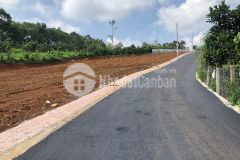 Cần tiền bán gấp lô đất 240m giá 850 triệu