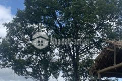 Mảnh đất y tý có thổ cư,có nhà khách mua có thể ở hoặc khai thác du lịch được luôn