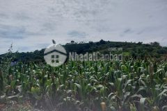 Bán đất khu du lịch quốc gia mộc châu s361,8m2