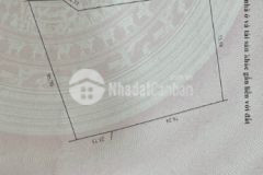 Tôi cần bán nhanh lô đất cách ql1a 700m ở bình thuận, giá ưu đãi cho ac thiện chí lh 0946071867