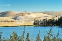 Đất vườn 9 sào, quốc lộ 1a, ngay safari, đường về sân bay, giá 1 tỷ 2, shr, bao thuế phí