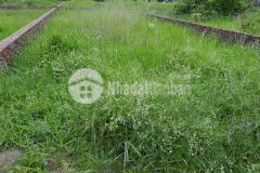 Bán gấp 83m2 đất kđt cổ dương tiên dương đông anh hn, mt 5m, vị trí đẹp.