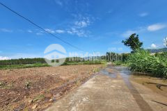 Chính chủ cần bán nhanh lô đất 2058m2. 2 mặt tiền đường. tại gia lâm. lâm hà. giá 3,5 tỷ