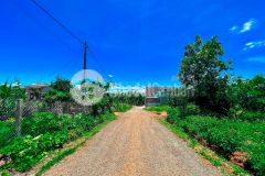 Cần bán đất thổ cư đồi thông phan đình phùng 8m x 16m