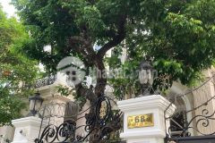 Bán biệt thự 3 lầu khu cityland garden hills tuyệt đẹp gò vấp