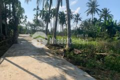 Chỉ 4xx triệu100m2 đất cách chợ truồi xã lộc an 1 km