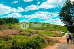 Cơ hội vàng để sở hữu riêng mình mãnh vườn diện tích hơn 1000m2