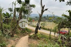 Mộc châu bán mảnh đất gần cửa khẩu s665m2