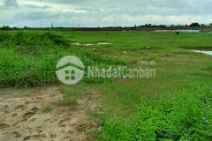 Chuyển nhượng qsd đâtvà dự án logistic tại mê linh giá tốt