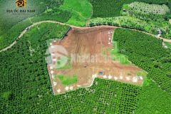 Đất nền biệt thự cách tp bảo lộc 8km