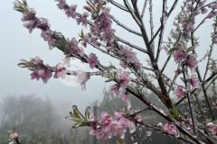 Đất vân đồn gần trường học, gần khu đô thị phương đông.