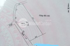 Mộc châu bán đất đã có sẵn nhà cấp 4 view đồi chè s1600m2