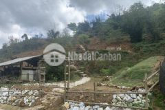 Bán đất tả phìn, sapa, lào cai s1.160m2