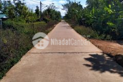 D567vpt bán lô đất góc 2 mặt tiền đường bê tông xã eana huyện krong ana