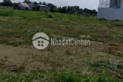 Bán đất thổ cư đường nguyễn trung trực xã long cang huyện cần đước shr dt 90m2 giá 1,2 tỷ