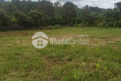 Gia đình cần bán lô đất hơn 1 sào ngay tại trung tâm lộc an