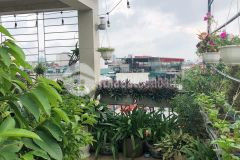 Bán nhà bồ đề long biên, thang máy gara tặng nội thất