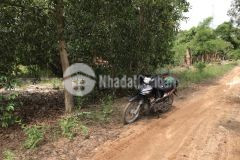 Đất bds đầu tư sơn mỹ hàm tân becamex bình thuận 2 mt trước sau 2,4 sào 80 trm ngang giá đáy