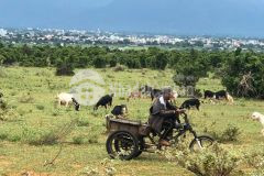 Bán đất 2 mặt tiền đường bê tông 10 mét, mặt tiền kênh nước, sổ riêng, lh 0937251240