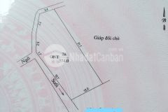 Mộc châu bán đât có nhà view đồi chè s1600m2