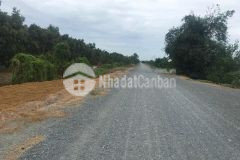 10hecta đường huyện lộ 42,thị trấn mỹ phước,tân phước,tiền giang