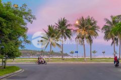 Cần bán lô đất biệt thự an viên nha trang.