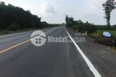 4,2 công mặt tiền tỉnh lộ 878,tam hiệp,châu thành,tiền giang