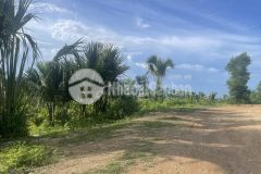 Đất bds tân xuân hàm tân mặt tiền đường kênh mương 10m 6,6 sào 2 tỷ giá đầu tư siêu lời