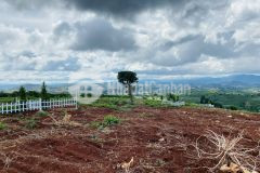 Bán 1000m2 đất nghỉ dưỡng view thung lũng giá chỉ 979tr tại lâm hà