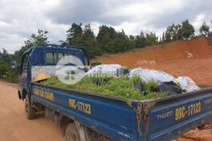 Đất nền nghỉ dưỡng giá f0 đầu tư sinh lời cao ở lâm đồng