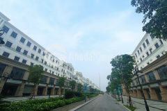 Shophouse ha11 vinhomes ocean park. có chóp 2 mặt tiền cam kết rẻ nhất thị trường