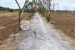 Cần bán gấp lô đất 10000m2 lúa