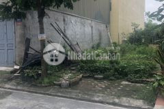 Hiếm, hót bay nhanh bán đất ngũ hiệp, thanh trì, 40m, phân lô, vỉa hè, ô tô tránh. nhỉnh 3 tỷ.