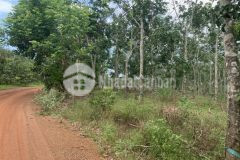 Đất ở 1 mẫu bds thắng hải hàm tân gần biển dân cư giá tốt đầu tư siêu lợi 4 tỷ tiềm năng giá kẹt