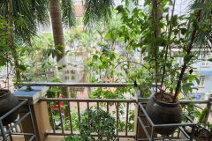 Lexus vào nhà, ô tô tránh nhau vương thừa vũ, kinh doanh, 98m2, giá 14 tỷ