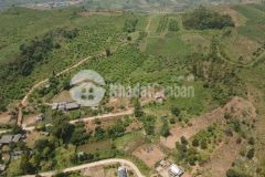 Mộc châu bán mảnh đất gần các điểm du lịch s5ha có 2800 m2 đất thổ cư