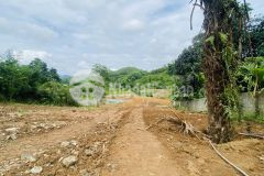 Bán gấp siêu phẩm nghỉ dưỡng có dt 5000m2 trong đó có 400m2 thổ cư