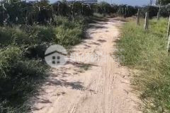 Đất bds tân thuận hàm thuận nam 5 sào đất dân cư 2 tỷ có nhà gần mai thúc loan