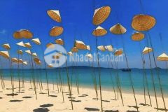 Đất nền cô tô. vị trí đắc địa,đón sóng chuẩn bị công bố quy hoạch