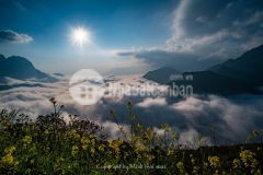 Mảnh đất y tý sapa2. đón sóng sân bay, sóng quy hoạch