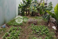 Đất vĩnh thịnh, đại áng. ngõ thông kinh doanh ô tô vào nhà 50m2 2 tỷ.