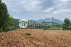 Bán gấp lô đất có dt 6500m2 mà giá chỉ 2,x tỷ x tiểu học với view triệu đô