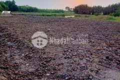 Bán đất vườn mặt tiền đường quận 2, phước khánh, nhơn trạch, giá tốt