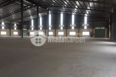 Cho thuê kho xưởng kcn tân đô, long an. kv 2ha, xưởng 12.500m2. gía 62m2